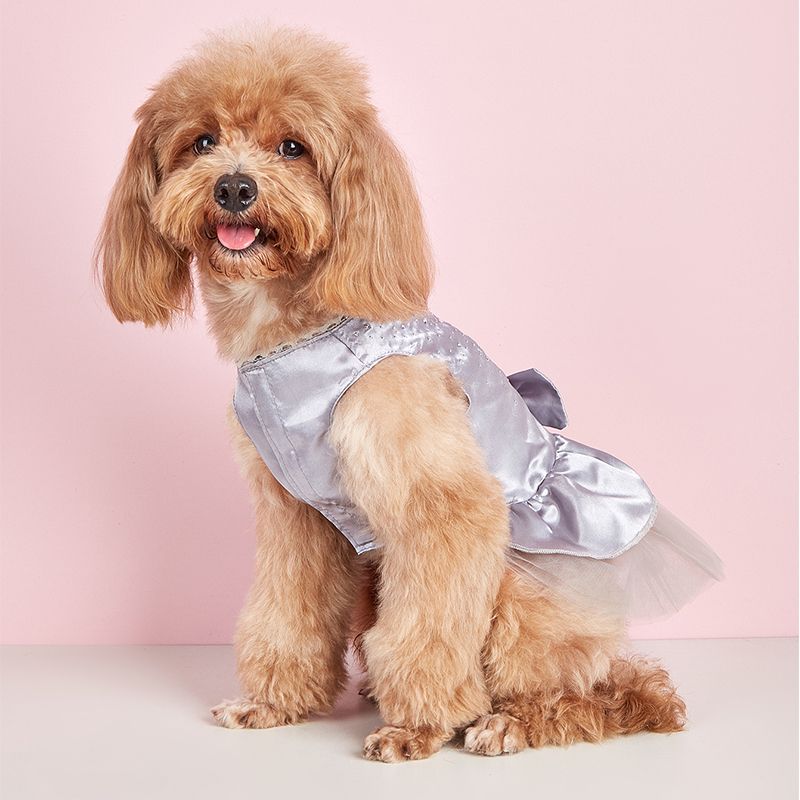Summer Dress For Dogs, Cats, Lace Pet Chihuahua, Tulle Skirt, Cat Princess, Cute Puppy Clothing, Dog Accessories By PawParty Store_voghion.com