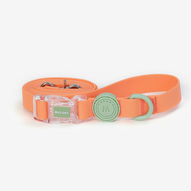 Wasserdichtes Halsband für kleine Hunde, große Hunde, mittelgroße Hunde, französische Bulldogge, Teddy, Corgi_voghion.com