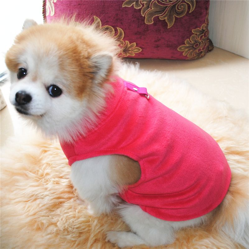 Abbigliamento per animali domestici diretto dalla fabbrica, per cani, autunno e inverno, in pile polare, fibbia di trazione, 27 colori brevettati, saranno oggetto di indagine_voghion.com