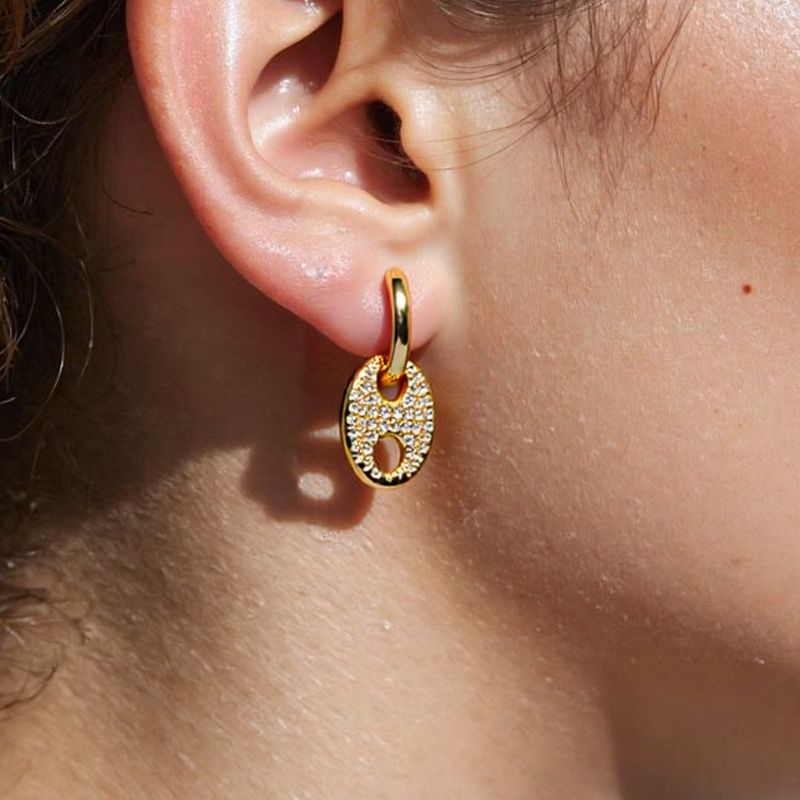 2025 New Fashion Pig Nose High-end Zircon Inlaid Versatile Cross-border Light Luxury Earrings_voghion.com