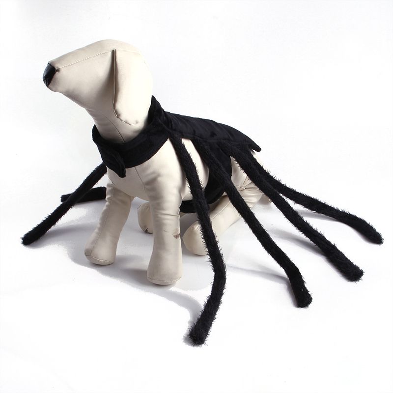 Pettorina per Halloween divertente da ragno, creativa, per trasformare un piccolo cane in un gatto_voghion.com