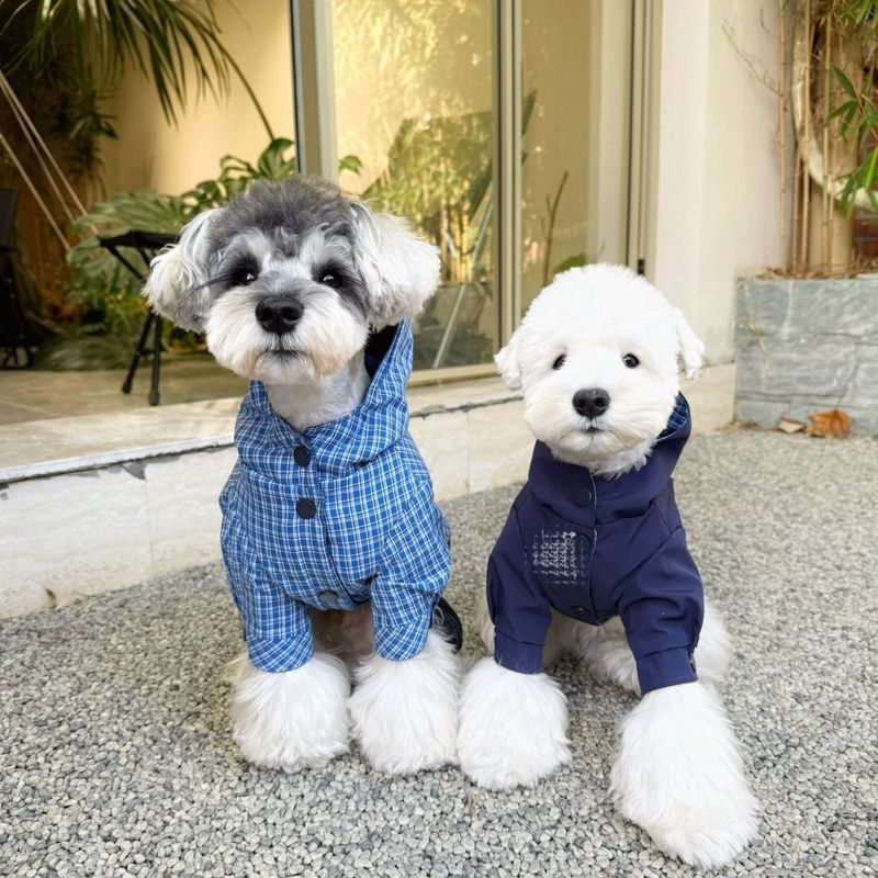 Cappotto e giacca in cotone per cani, caldi, invernali, Schnauzer, Bichon, Teddy, Shiba Inu, West Highland_voghion.com