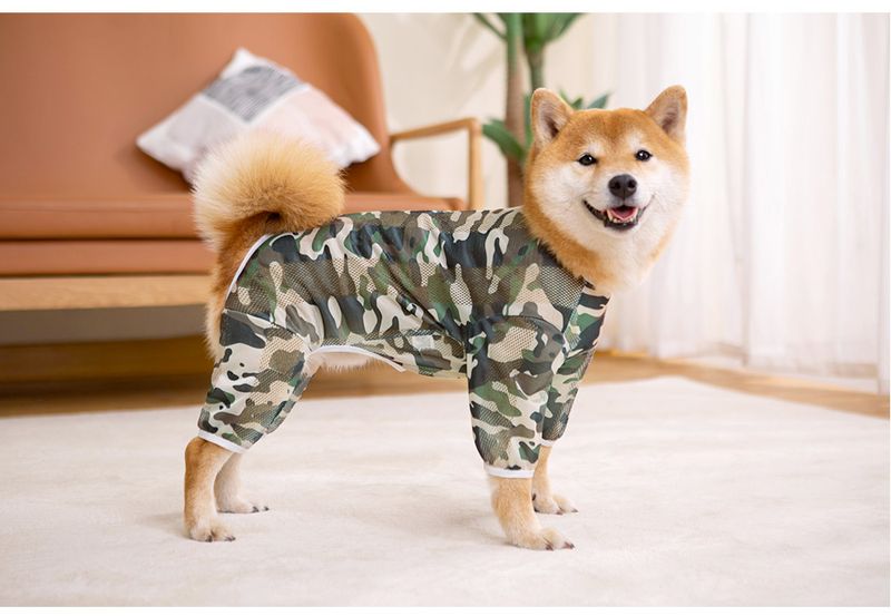 Spring and Autumn Summer Mesh Print Labrador Dog Golden Retriever Medium and Large Dog Four-Legged Cross-Border Pet Dog Clothes_voghion.com