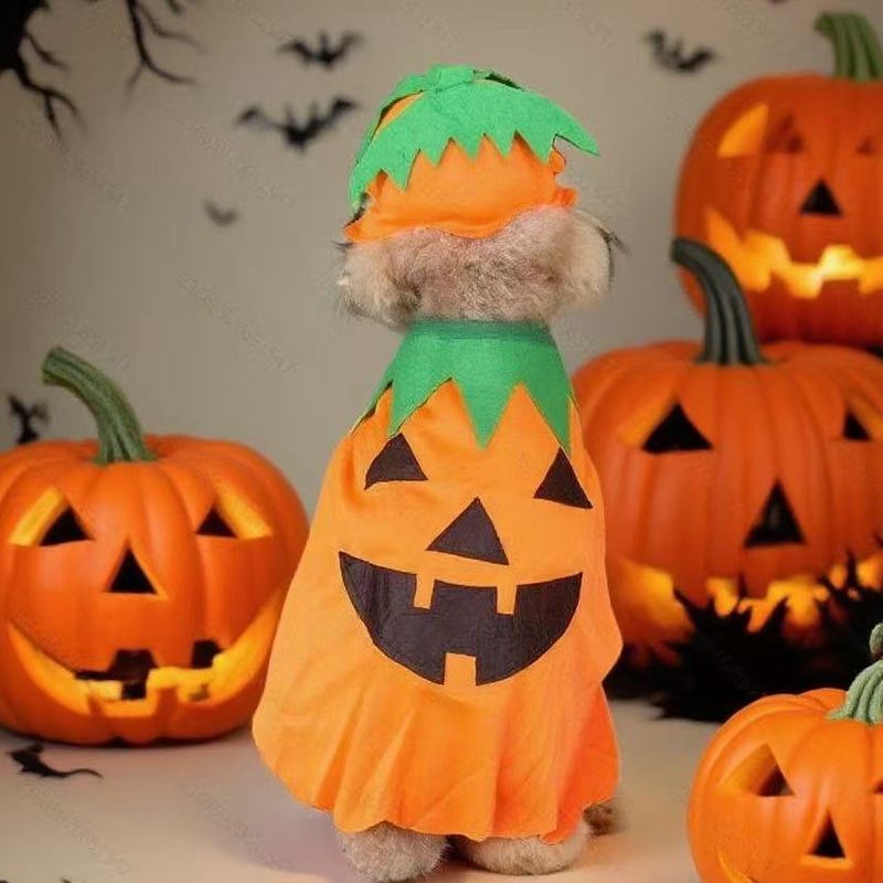 Costume divertente per feste di Halloween per animali domestici, mantello per cani di grossa taglia, cappello a forma di zucca, vestiti per gatti_voghion.com