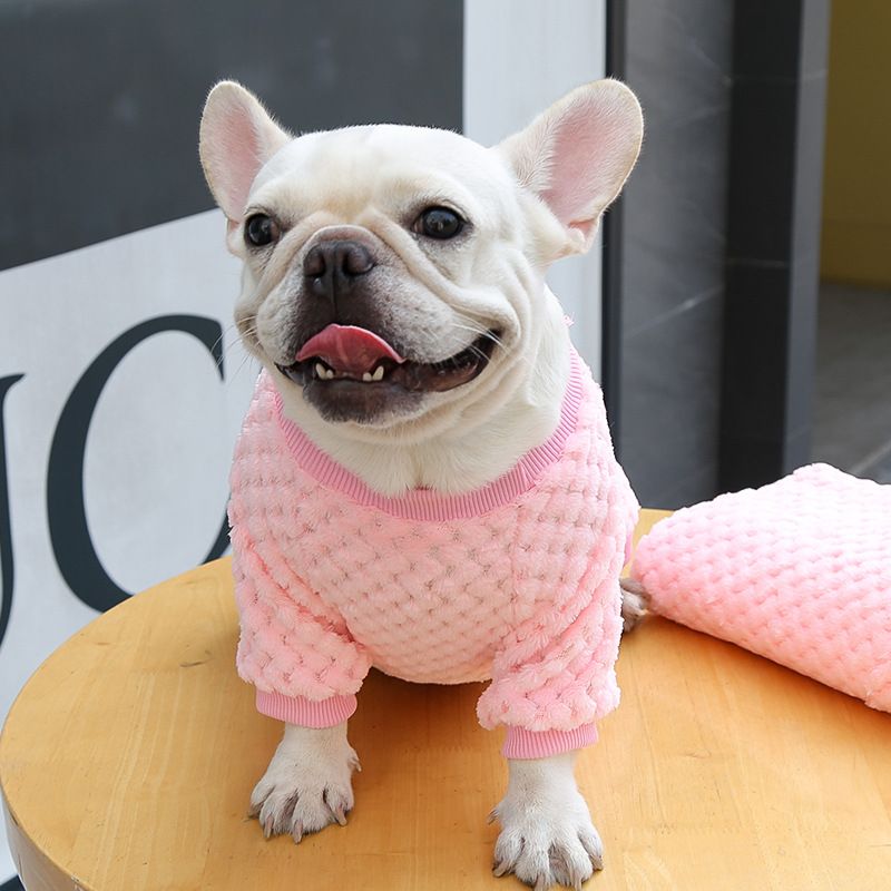 Ropa para perros pequeños y grandes, ropa para gatos, otoño e invierno, nuevos suministros para mascotas, ropa de vellón, método, cubo, ropa de dos patas, cuadros_voghion.com