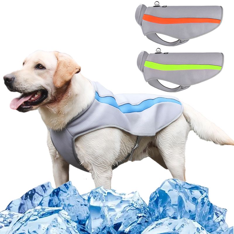 Atmungsaktives Sommer-Haustier für mittelgroße und große Hunde, kühlende Kleidung für französische Bulldoggen, coole Jacke mit Labrador, Weste von PawParty Store_voghion.com