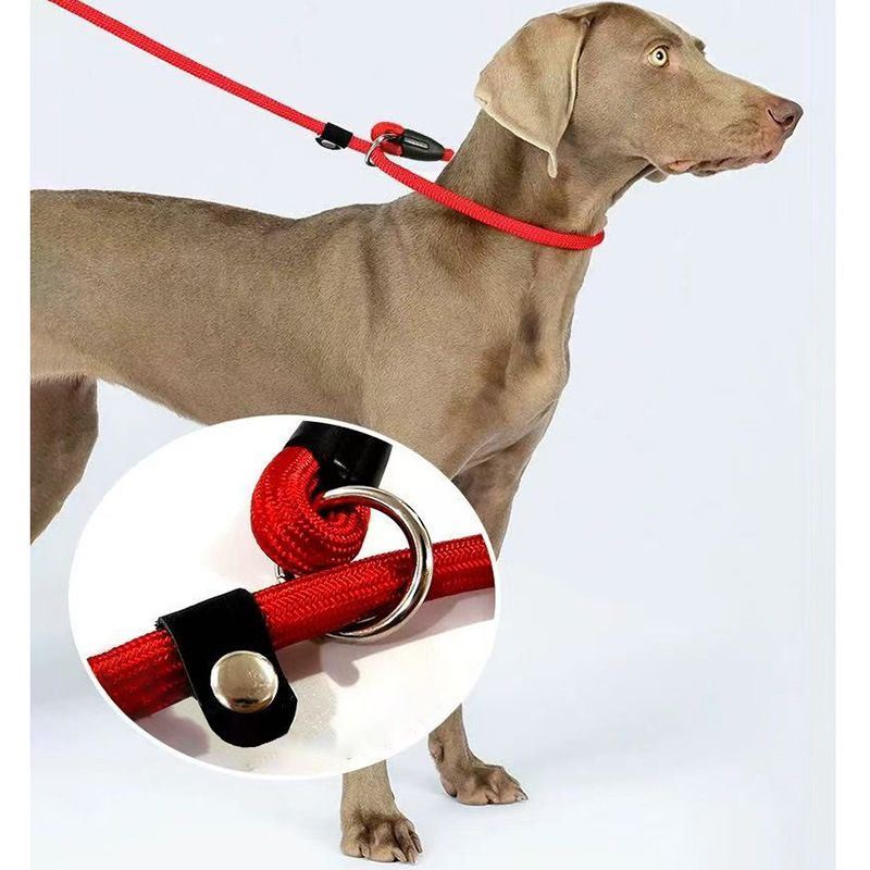 Corrente para cães com corda de tração integrada P à prova de explosão_voghion.com