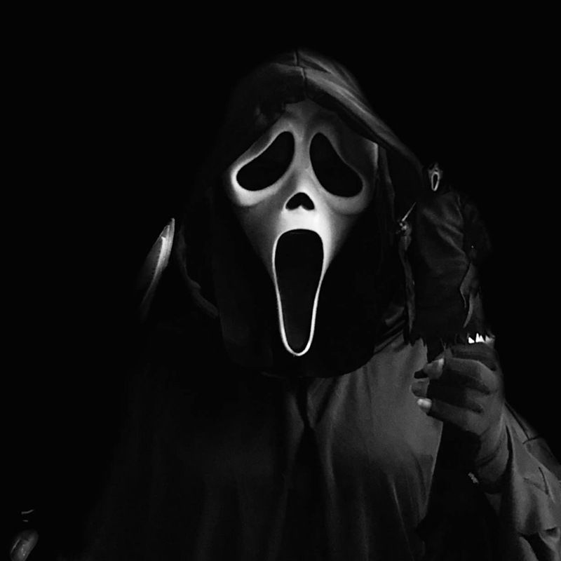 Screaming Mask Halloween Cos Horror Funny Face Mask Scary Hood Adult Props_voghion.com