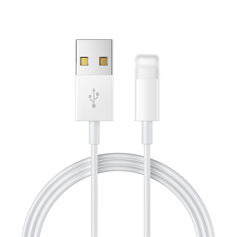 10W 5V 2A 1.5m USB Cable Charging Cable Cord Wire For App Le IPhone X 8 7 IPad Air 2 Phone Fast Charging Data Sync For IPad IPod Lightning_voghion.com