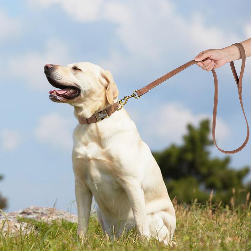 Personalisierte Leine, individuelles Hundehalsband, Laufseil, Lederhalsbänder für Haustiere für kleine, mittlere und große Größen von PawParty Store_voghion.com