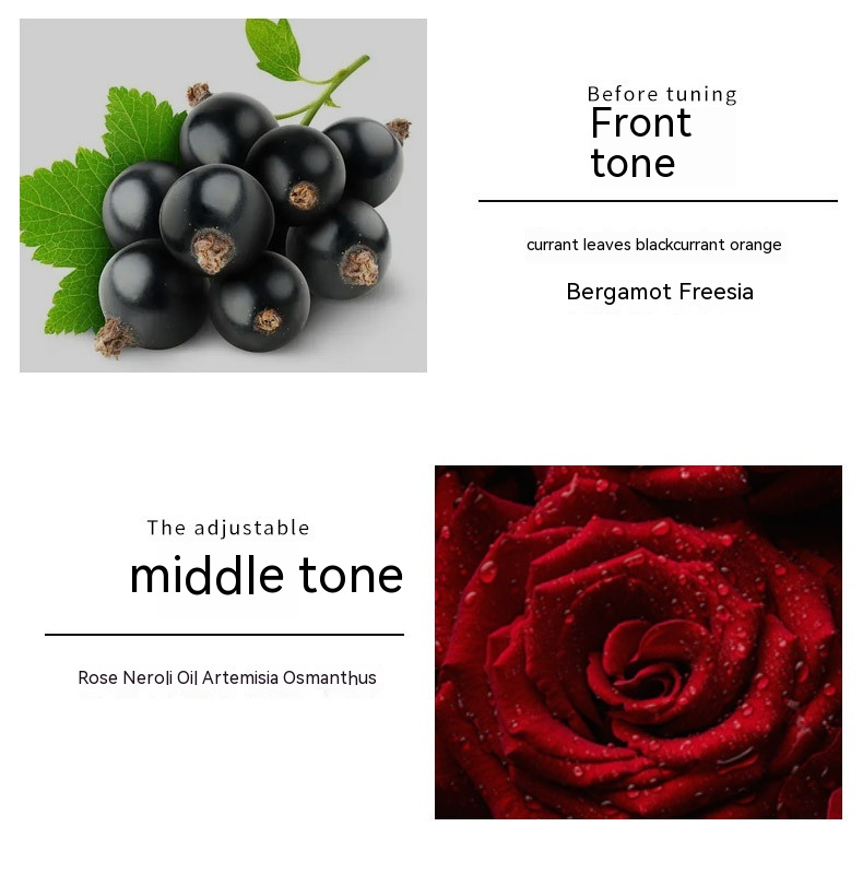 2024. aasta uus parfüüm Klassikaline armastuse parfüüm RISSERS kaubamärgi naiste parfüüm Püsiv mustade lillede ja puuviljade parfüüm_voghion.com