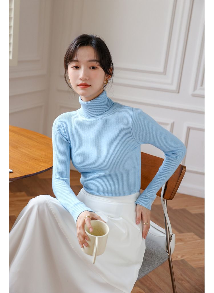 2024 New High Neck Sweater Women's Base Layer Autumn Winter Slim Fit Stylish Versatile Knitted Top_voghion.com