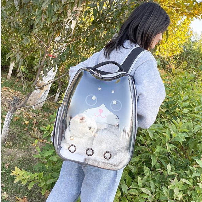 Sac à dos mignon pour animaux de compagnie, transparent, respirant, portable et léger, type capsule spatiale, pour voiture ou chien/chat_voghion.com