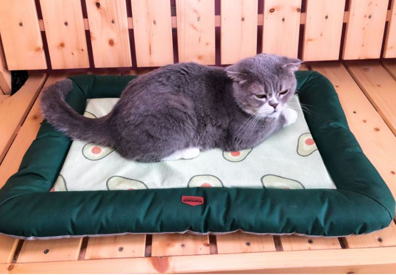 Lit pour chat d'été et respirant, fournitures, tapis rafraîchissant pour animaux de compagnie, lit pour chien_voghion.com