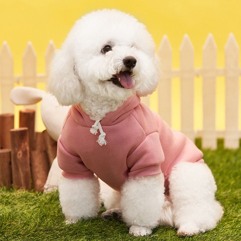 New Puppy Costume Universal For Pomeranians, Bichon Frises, Teddy Dogs, Casual Two-Legged Hooded Fleece Sweatshirt_voghion.com