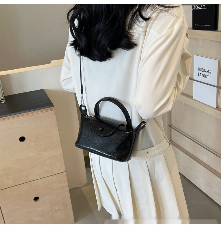 This Year's Popular Small Bags For Women In Spring New Crossbody Bags High-end Hand-held Shoulder Bags Versatile Dumpling Bags_voghion.com