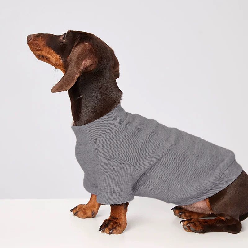Vestiti per cani e gatti, resistenti al freddo, eleganti, dalla consistenza confortevole, caldi per l'autunno e l'inverno, per bassotti Bichon Frise_voghion.com