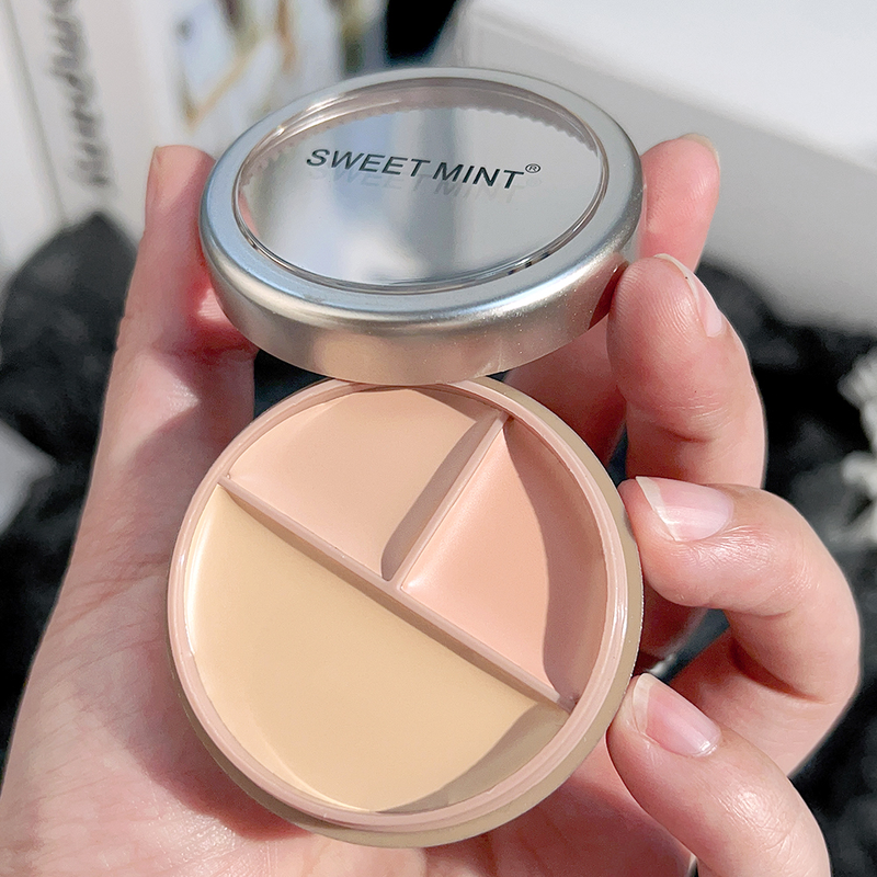 Concealer-Palette, wasserfeste Creme-Textur, deckt Akne-Markierungen, Augenringe, multifunktionales Make-up, langlebig, Bri ab_voghion.com