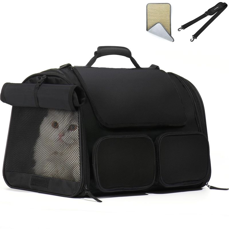 Cross-Border Air Box Small Dog Travel Portable Cat Breathable Large Capacity Pet Bag_voghion.com
