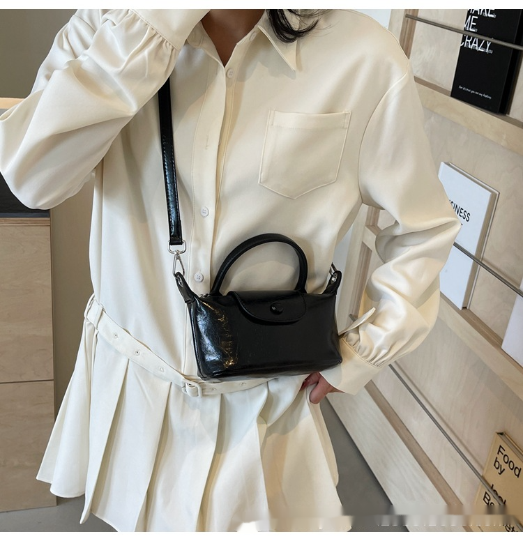This Year's Popular Small Bags For Women In Spring New Crossbody Bags High-end Hand-held Shoulder Bags Versatile Dumpling Bags_voghion.com