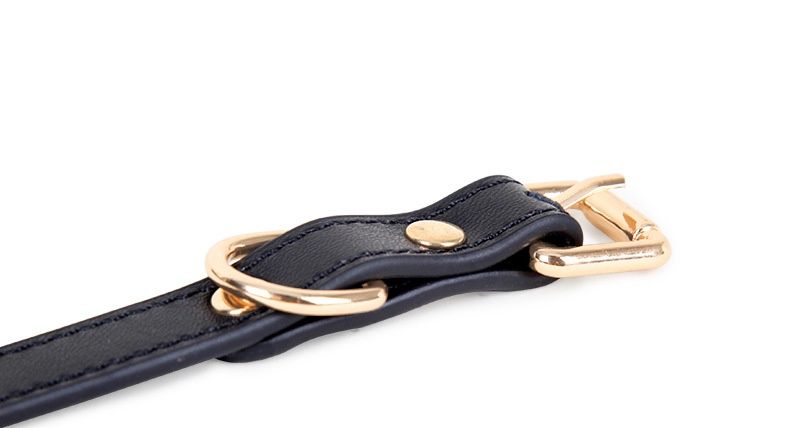 LuvBox Ciondolo SM Collare in Pelle Imbracatura per il Collo Maschio Femmina Addestramento Cane Catena Alternativa Giocattoli Sessuali Moda Abbinata_voghion.com