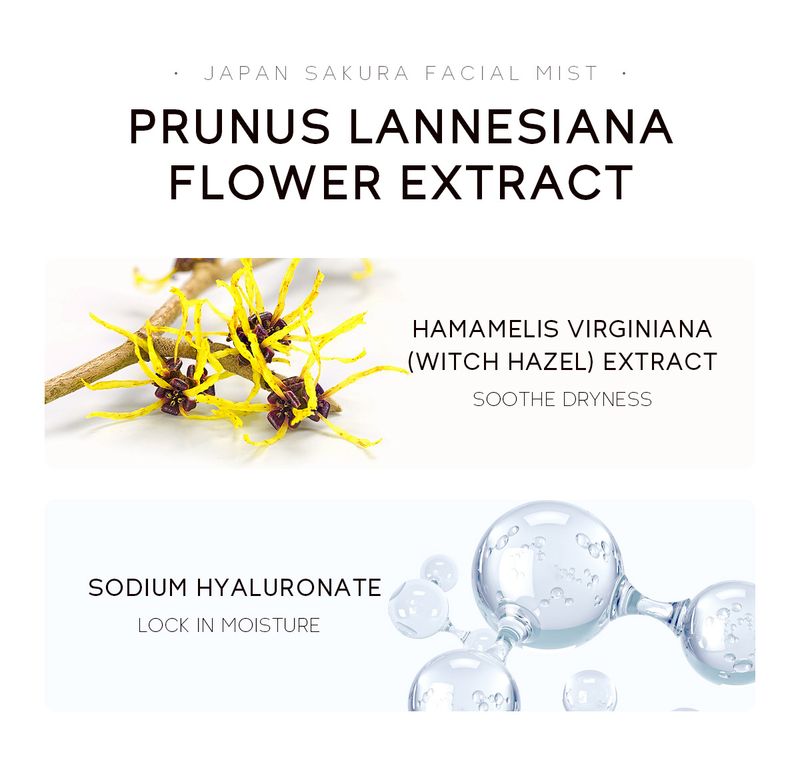 Laico Sakura Spray 100ml Hydraterende en Hydraterende Huidtoner Een Stuk Verzending_voghion.com