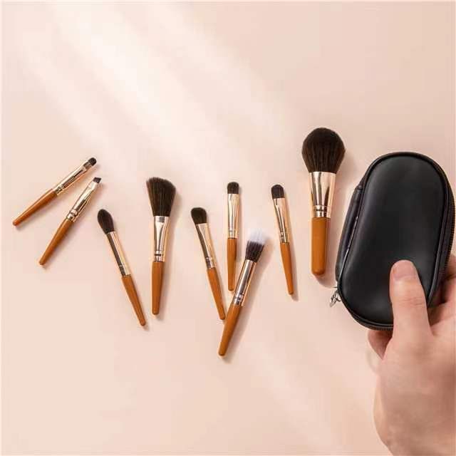 Mini-Make-up-Pinsel, 9-teilig, für Anfänger, tragbares Reiseset, komplettes Set mit weichen Borsten-Punktpinseln_voghion.com