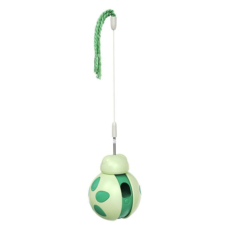 New Popular Tumbler Balance Car Beetle Cat Toy_voghion.com