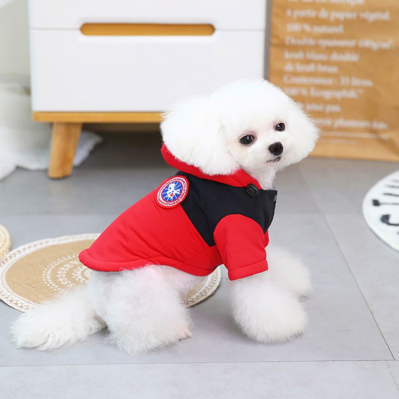 Herbst und Teddy Kleine Hund Haustier Winter 21 Vier Farbe Gans Baumwolle Kleidung_voghion.com