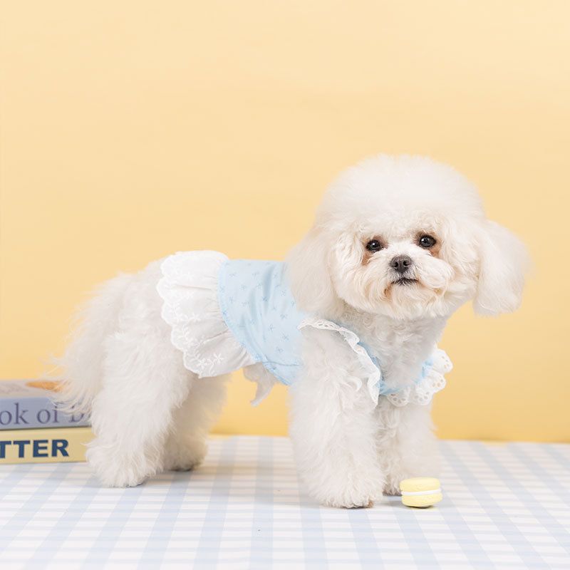 Blauer, vollständig bedruckter Rand, dünner Hosenträgerrock mit Blumenmuster für Welpen im Frühling und Sommer im Vergleich zur Hundekleidung mit Teddybär_voghion.com