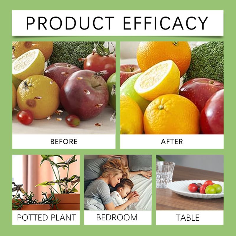 Yegbong Fruit Fly Trap Supplement Set, Fruit Fly Lure Water Physical Trap Fruit Fly Trap Agent_voghion.com