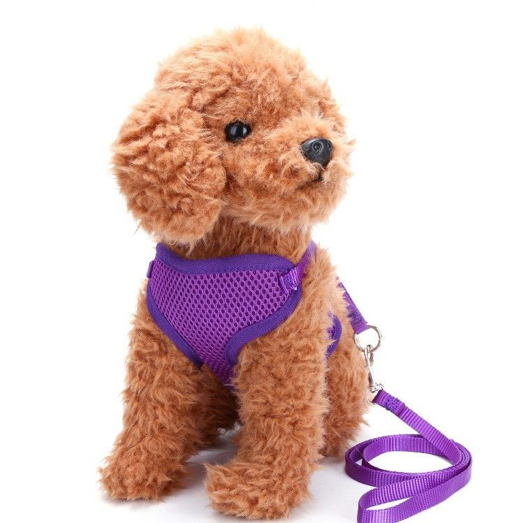 Huisdierbenodigdheden Ademende borst- en rugset van gaas voor kleine honden met trekkoord_voghion.com