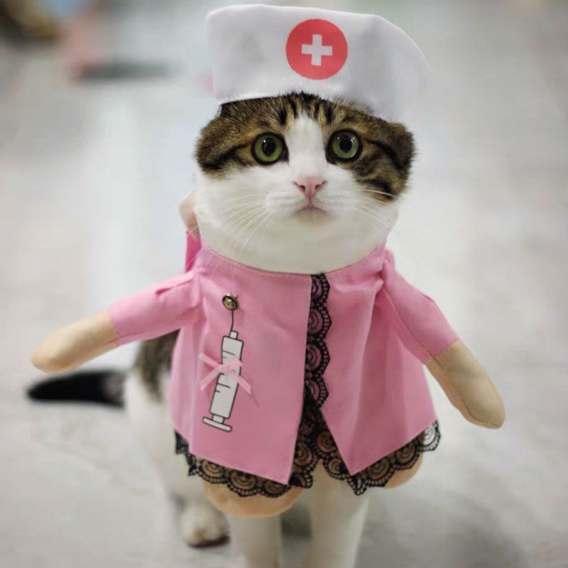 Spring And Autumn Pet Clothing Cute Funny Quirky Costume Hilarious Cat Dog Clothes Standing Transformation Outfit 3D_voghion.com