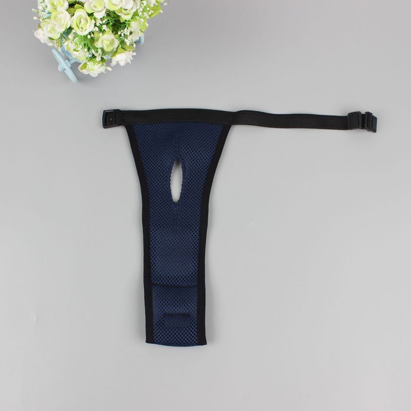 2024 new pet sandwich mesh dog health pants our factory supply Thank you old customer welfare price_voghion.com