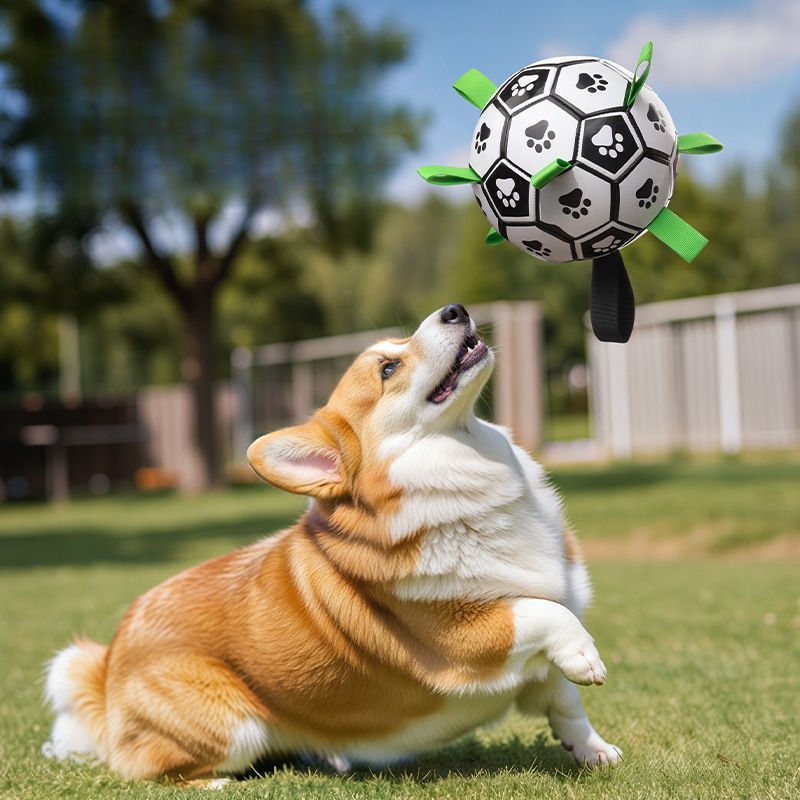 Border Collie Self-Entertainment Toy Labrador Corgi Training Special Dog Soccer Ball Durable Pet Supplies_voghion.com