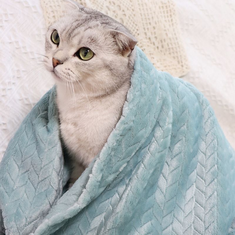 Weizenohr kleine Haustier Katze Nest Matte Hund Wärme Abdeckung Korallen Samt verdickte Decke_voghion.com