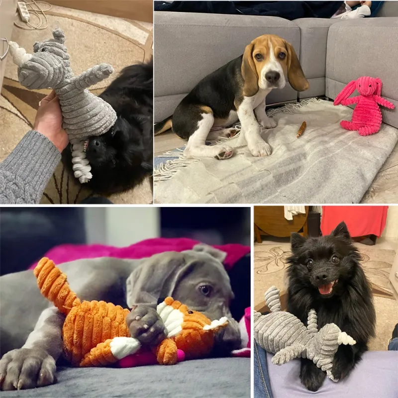 CDDMPET Velvet Squeaky Toys For Dogs By PawParty Store_voghion.com