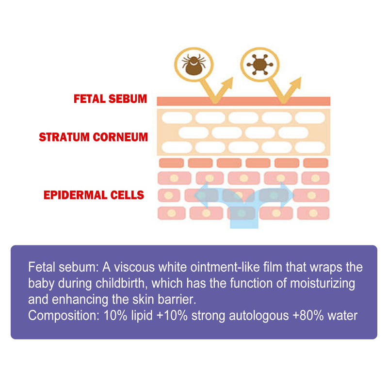 Hip Beautiful Baby Cream repariert Rötungen, Fieber und Juckreiz an der Babyhüfte und ist eine feuchtigkeitsspendende Hautpflegecreme_voghion.com