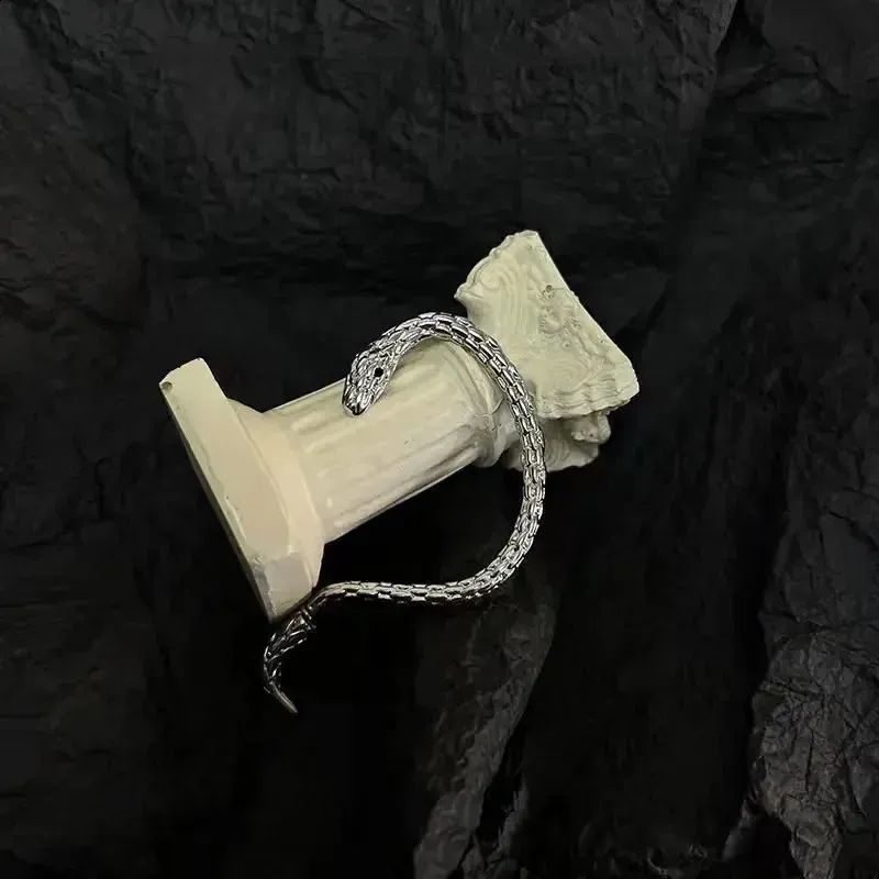 VintageNiche Shape Earrings Simple Small Snake Clip Fashionable High End Punk Style Ear Studs For All Occasions 250228_voghion.com