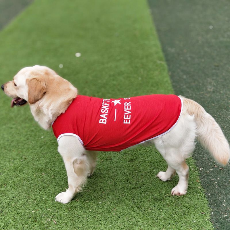 Abbigliamento estivo per cani di taglia grande, per Golden Retriever, Border Collie, Labrador, Samoiedo, stile sottile_voghion.com