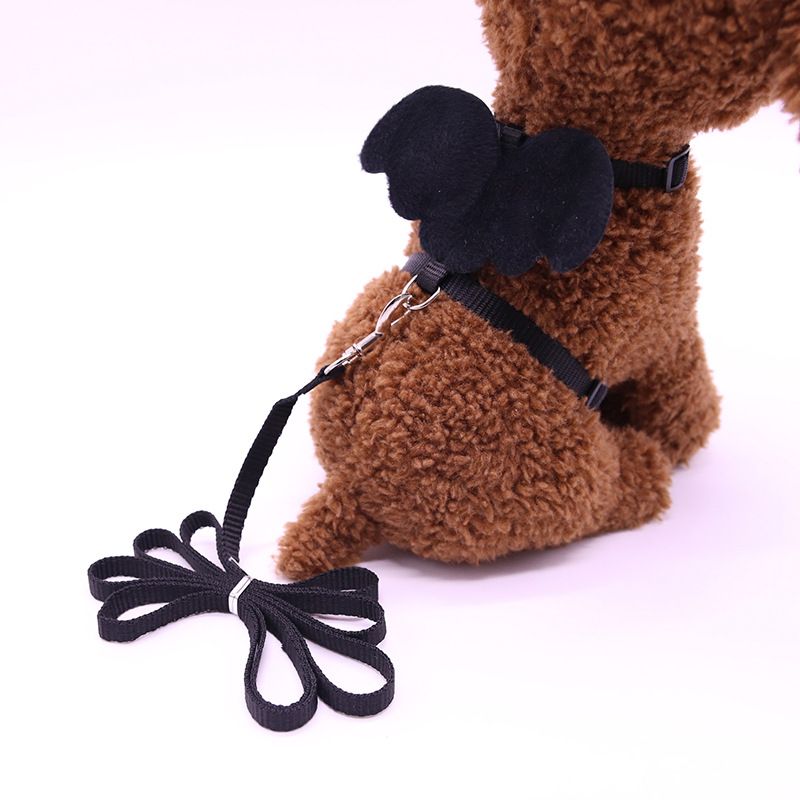 Forniture per animali domestici, guinzaglio a forma di angelo, imbracatura per petto, catena per cani_voghion.com