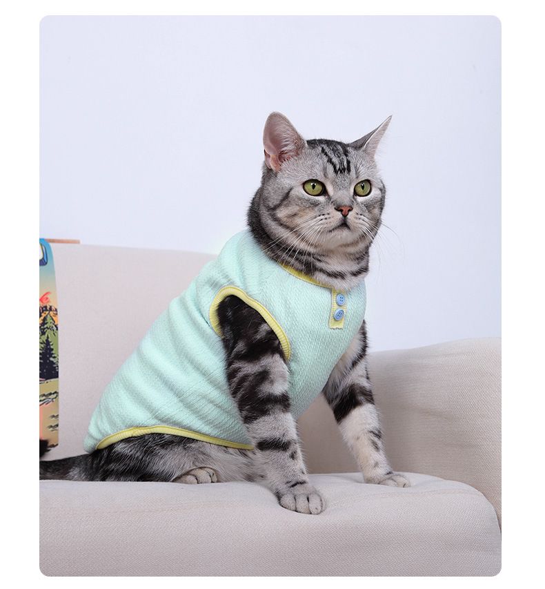 Nuovi vestiti per gatti, autunno e inverno, stile coreano, gilet spesso, abbigliamento per animali domestici, Teddy Bichon, cani di piccola taglia_voghion.com