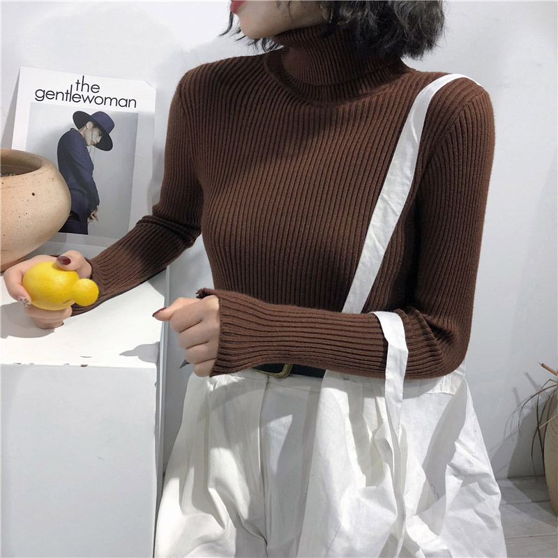 2023 herbst Winter Dicken Pullover Frauen Gestrickte Rippen Pullover Pullover Langarm-rollkragenpullover Schlank Jumper Weiche Warme Pull_voghion.com
