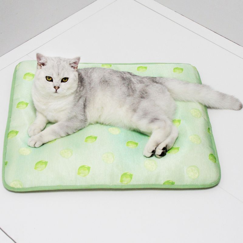 Es Ice Silk Kühlmatte Pet Pad Abnehmbare Waschbar Sommer Teddy Corgi Golden Retriever Hundebett Antihaft Haar_voghion.com