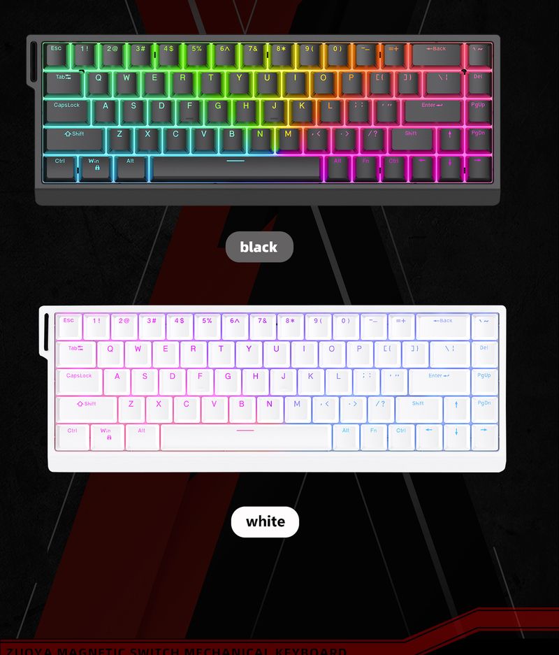 Tastiera meccanica ZUOYA HE30/65 8K con asse magnetico, speciale gioco Esports, grilletto rapido_voghion.com