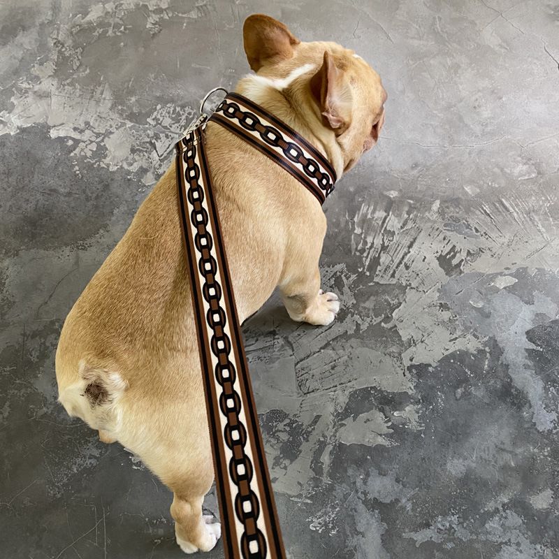 Pet Explosion-Proof Small Medium Large Collar Leash Big Dog Walking Chain_voghion.com