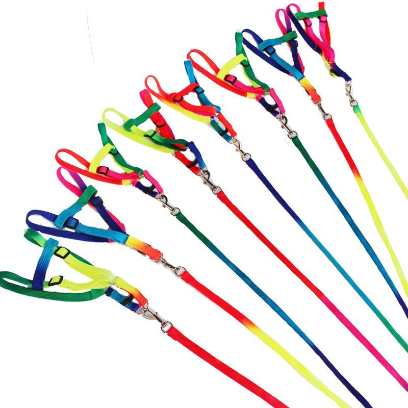 Pet Colorful Chest Harness Small Leash Dog Chain_voghion.com