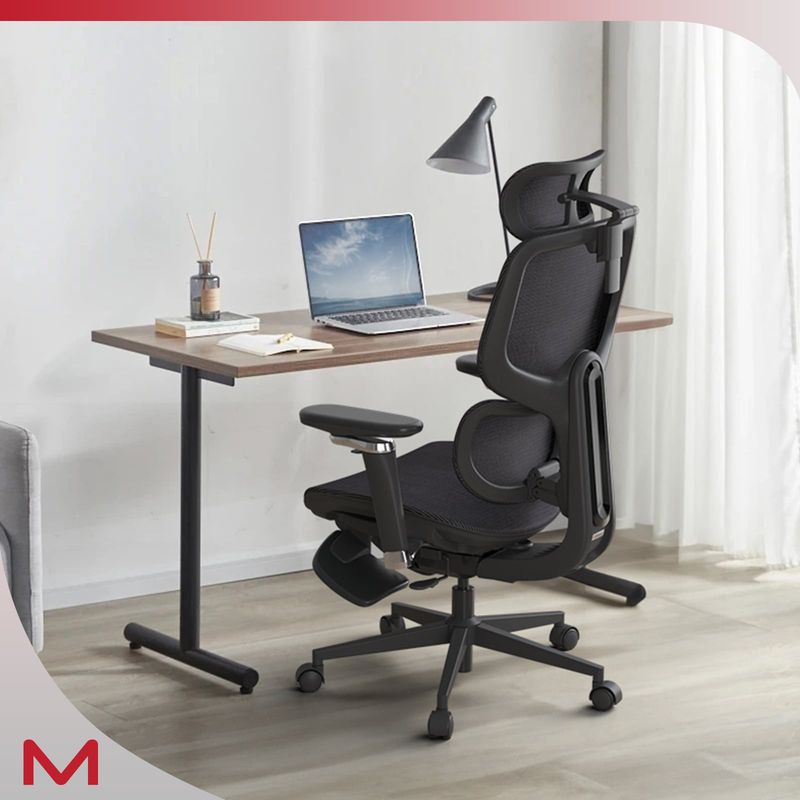 D2 Pro High Back Ergonomic Home Office Chair With DTS Self-Adaptive Lumbar Support, Multi-Adjustable Armrest, Wire Controlled Design, Footrest, 4D Headrest Mesh Office Computer Chair (Black)_voghion.com