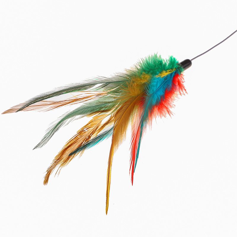 Blue Fishing Rod Feather Teaser Wand 2021 New Cat Toy_voghion.com