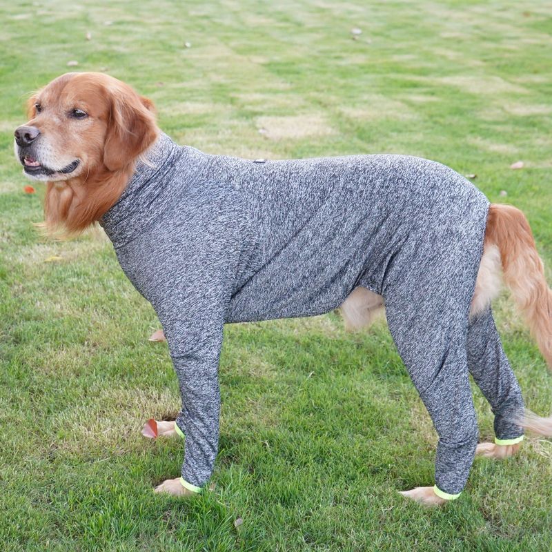 It Autumn Winter Anti-Shedding Large Dog Elbow Protection Full Coverage Pet Four-Legged Golden Retriever Labrador_voghion.com